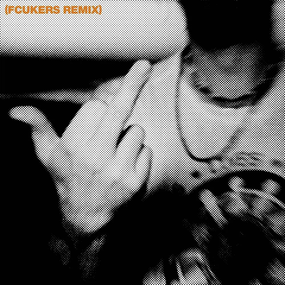 Loser (Fcukers Remix) - Tame Impala