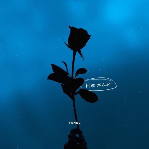 Tanel - Не Жди