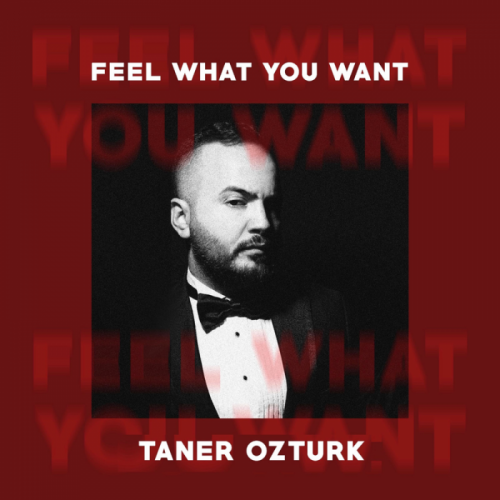 Taner Ozturk - Feel What You Want