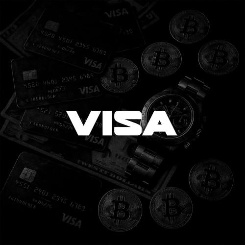 Visa - Taniyn