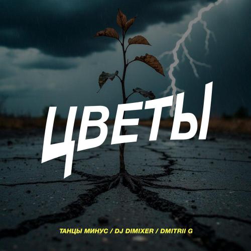 Танцы Минус, DJ DimixeR, Dmitrii G - Цветы (Remix)