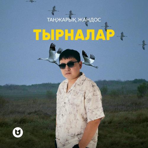 Таңжарық Жандос - Тырналар