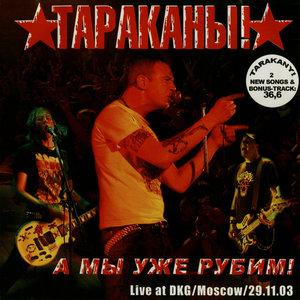 Тараканы! - Я смотрю на них
