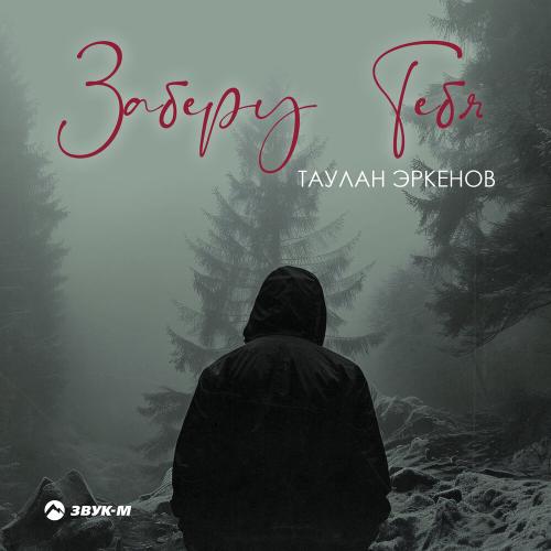 Заберу тебя - Таулан Эркенов