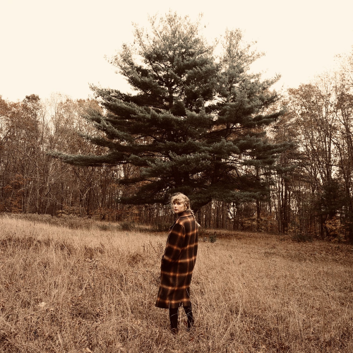 Taylor Swift - willow (lonely witch version)