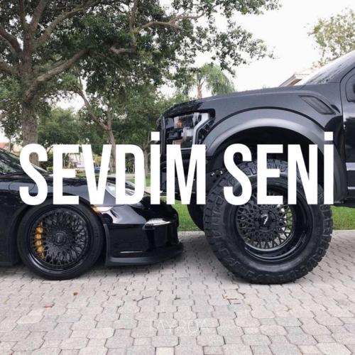 Sevdim Seni - Tayroa