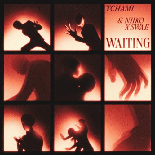 Tchami & NIIKO X SWAE - Waiting