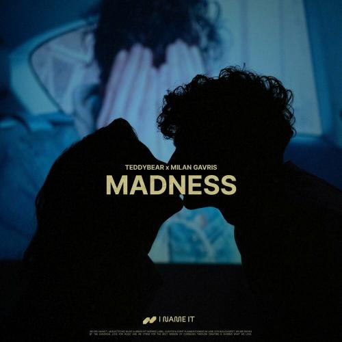 Teddybear & Milan Gavris - Madness