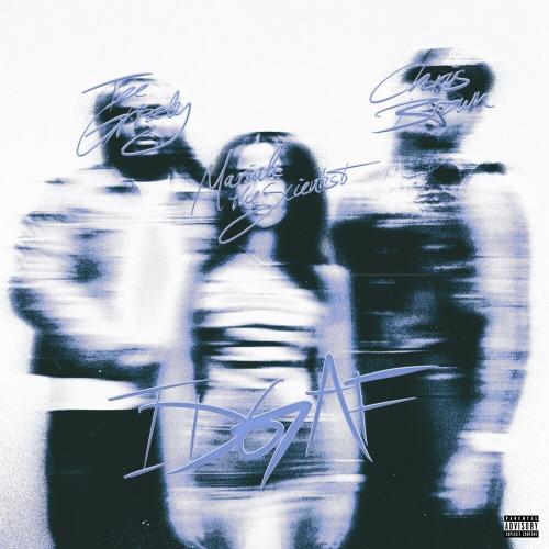 Tee Grizzley feat. Chris Brown & Mariah The Scientist - IDGAF (Slowed Down)