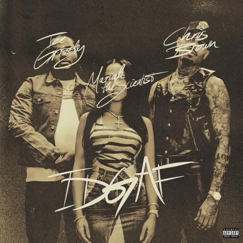 Tee Grizzley feat. Chris Brown & Mariah The Scientist - IDGAF