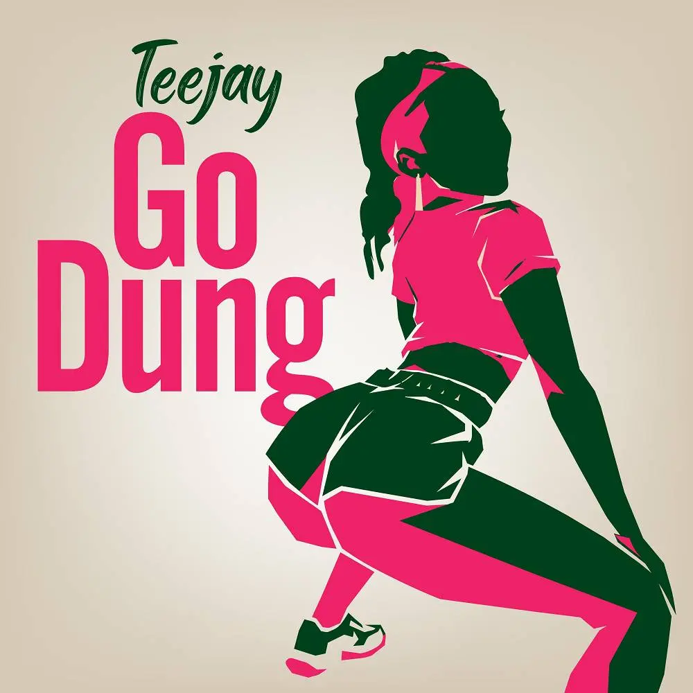 Go Dung (TikTok Mix) - Teejay