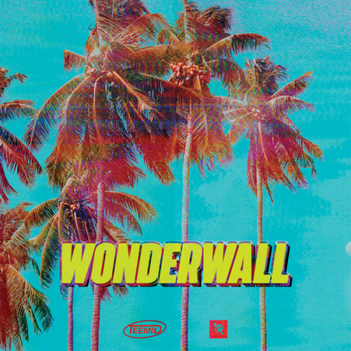 TEEMID - Wonderwall