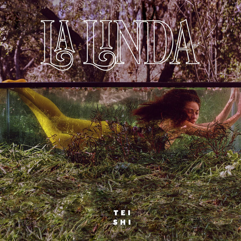 Even If It Hurts (Feat. Blood Orange) - Tei Shi feat. Blood Orange