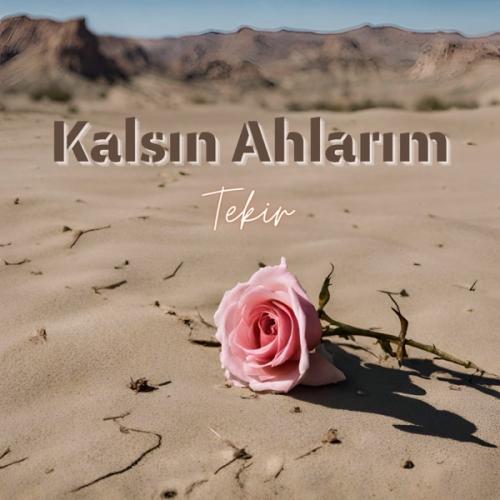 Kalsın Ahlarım - Tekir