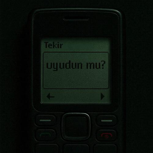 Uyudun Mu_ - Tekir
