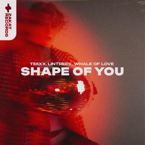 TEKKX, Lintrepy & Whale Of Love - Shape of You