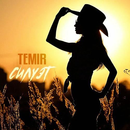Силуэт - TEMIR
