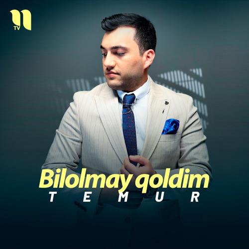 Bilolmay qoldim - Temur
