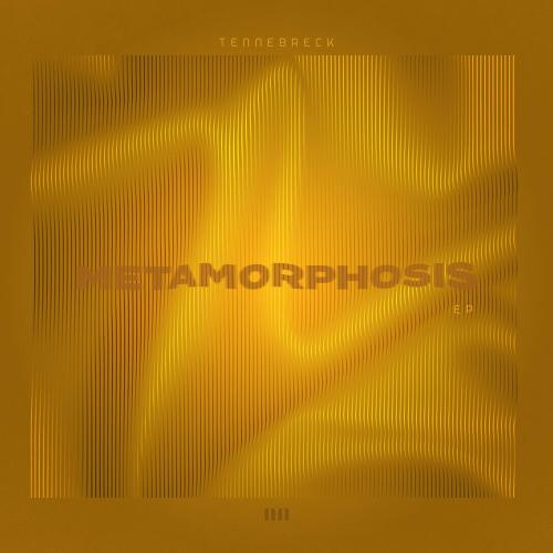 Tennebreck - Flute (Radio Edit)