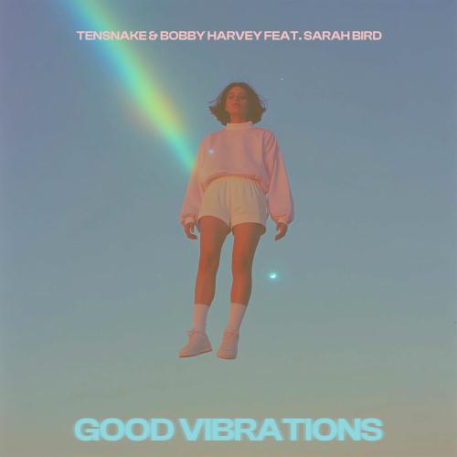 Tensnake & Bobby Harvey feat. Sarah Bird - Good Vibrations