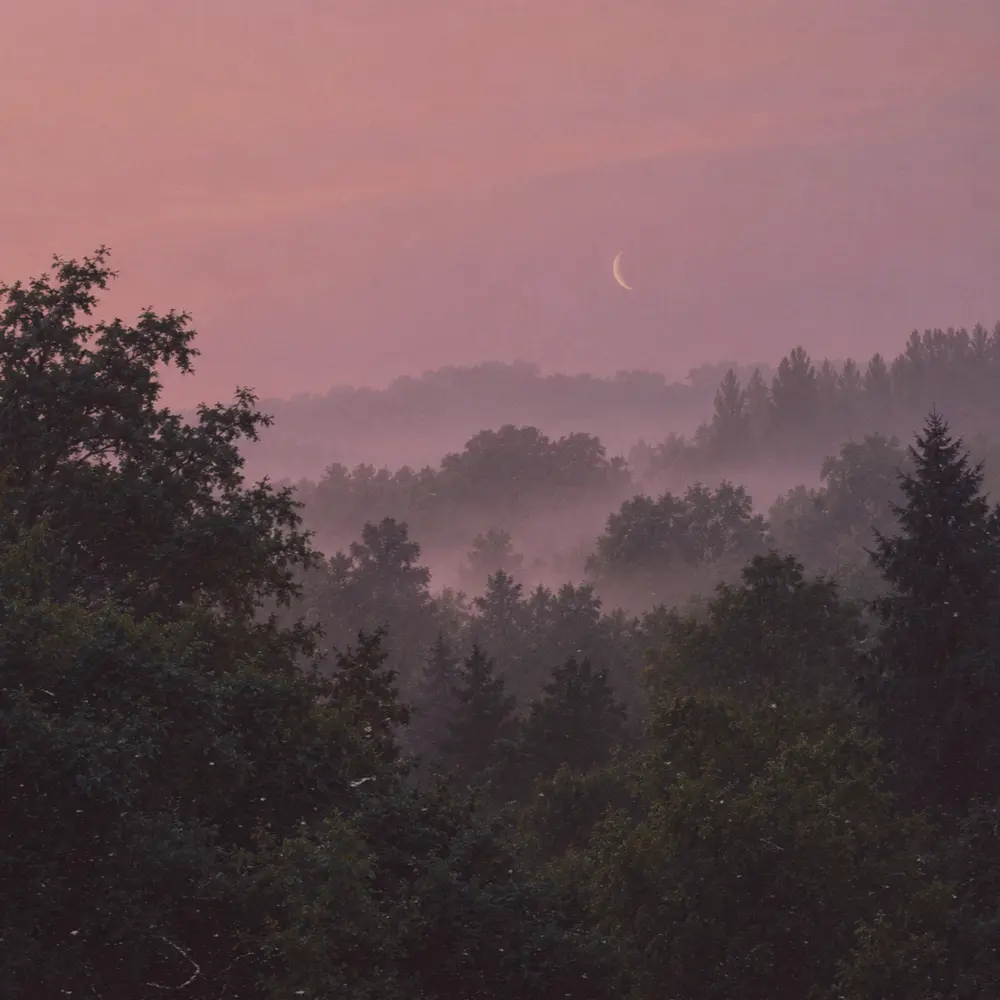dusk - tenyday