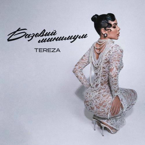 Tereza - Базовый минимум