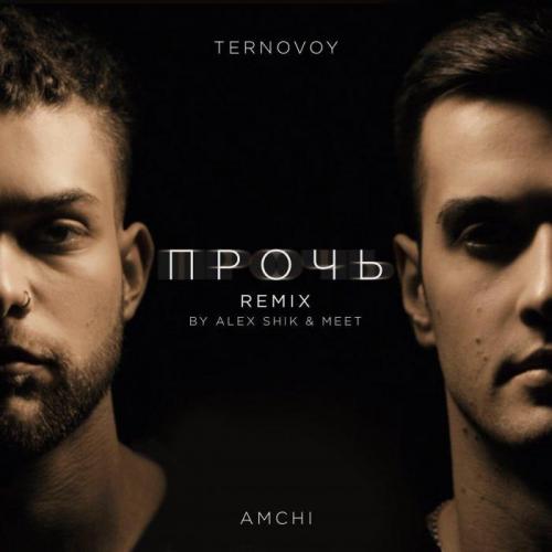 TERNOVOY feat. AMCHI - Прочь (Alex Shik & Meet Remix) 