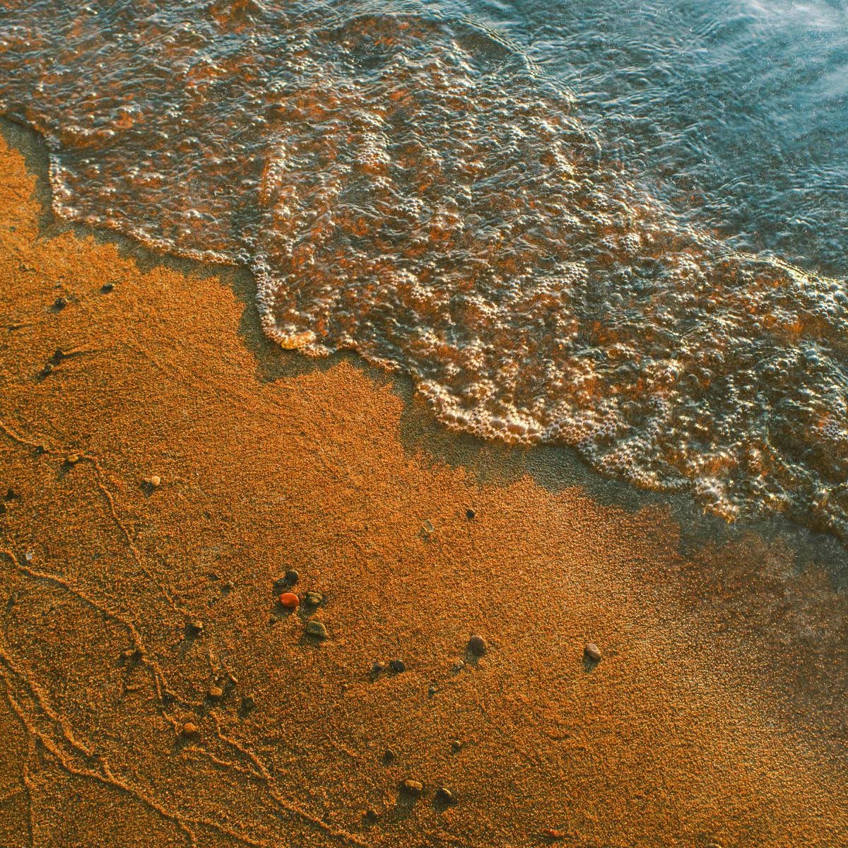 Waves - Terrapi