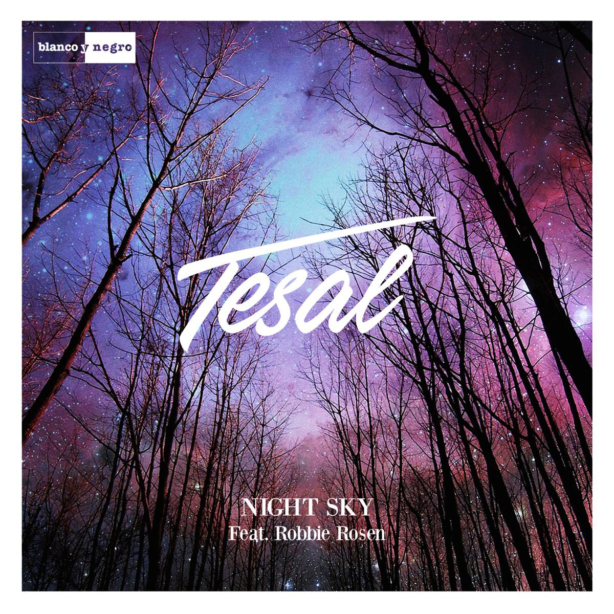 Night Sky (feat. Robbie Rosen) - Tesal