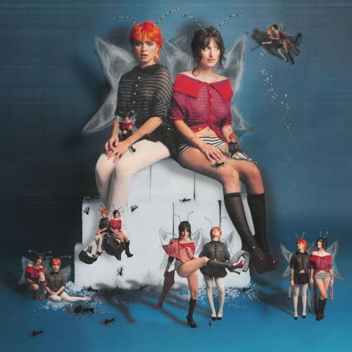 The Army, The Navy - Rascal