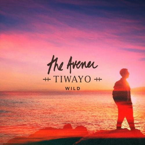 The Avener feat. TIWAYO - Wild