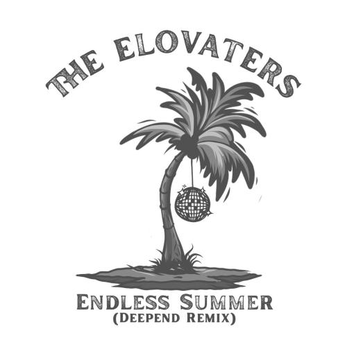 The Elovaters & Deepend - Endless Summer (Deepend Remix)