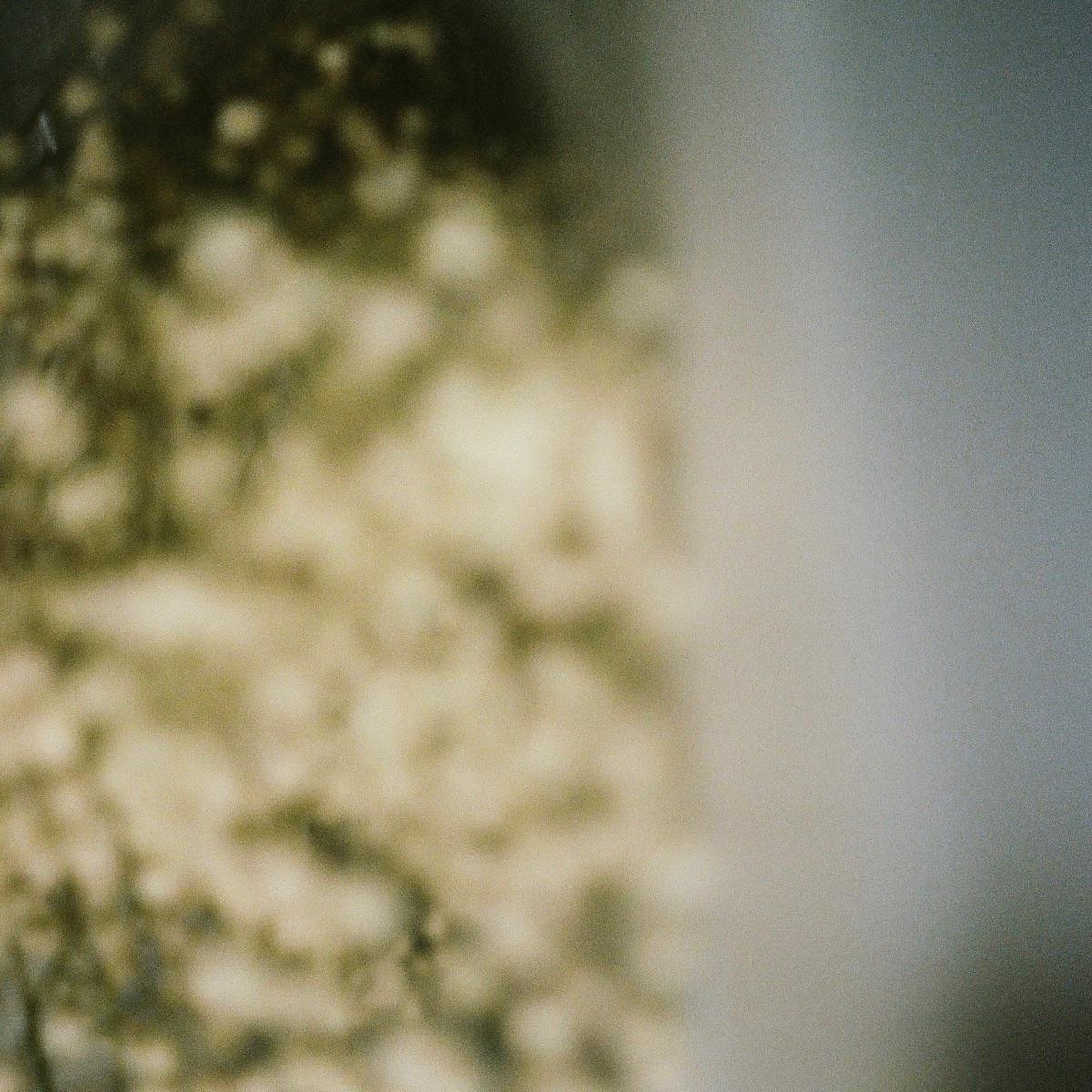 Without You I'm Lost - The Field Tapes & illi mel