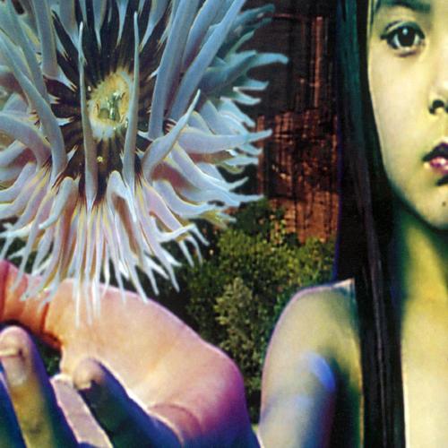 Lifeforms - The Future Sound Of London