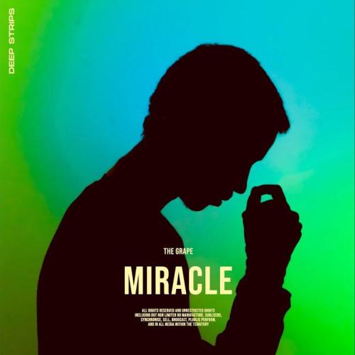 The grape - Miracle (Radio Edit)