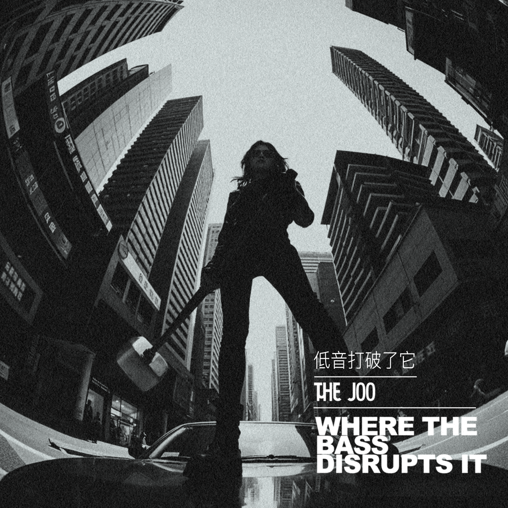 Where The Bass Disrupts It - The Joo