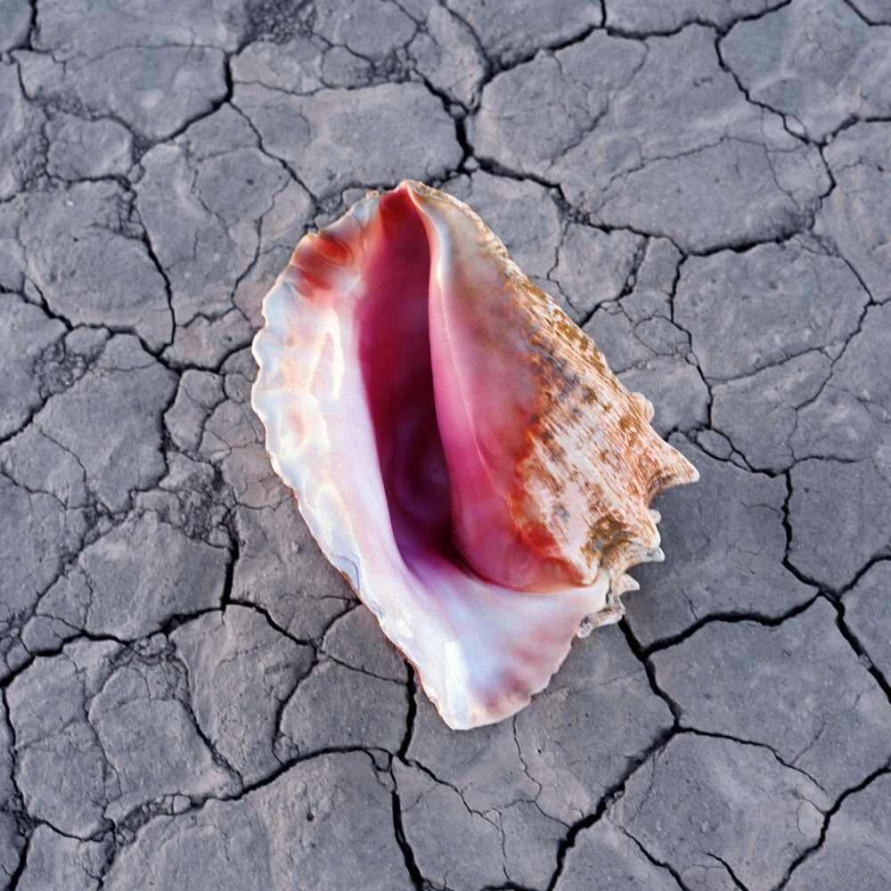 The Man (Jacques Lu Cont Remix) - The Killers, Jacques Lu Cont