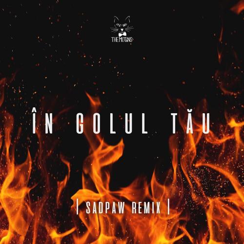The Motans - In Golul Tau (Sadpaw Remix)