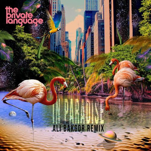 In Paradise (Ali Bakgor Remix) - The Private Language