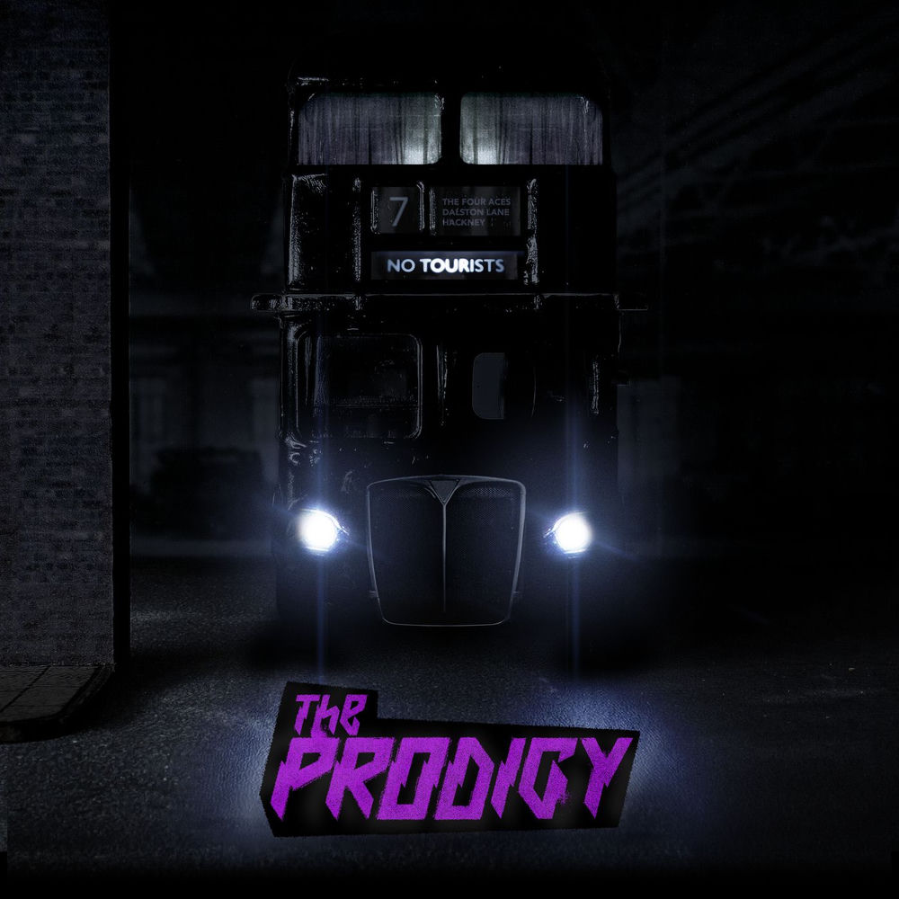 Need Some1 (Album Version) - The Prodigy