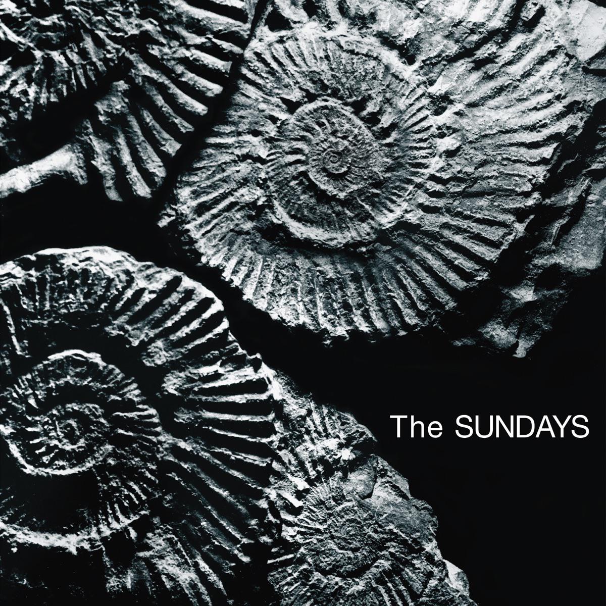 Can't Be Sure - The Sundays