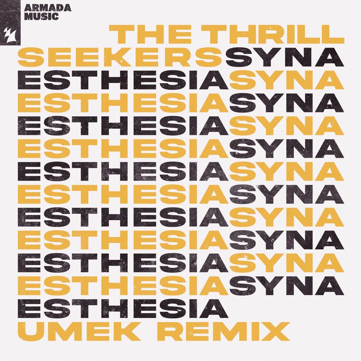 Synaesthesia (En - Motion Remix) - The Thrillseekers