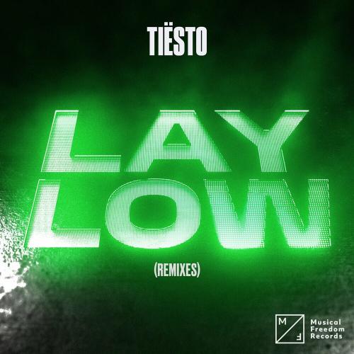 Tiesto - Lay Low (Ariis Remix)