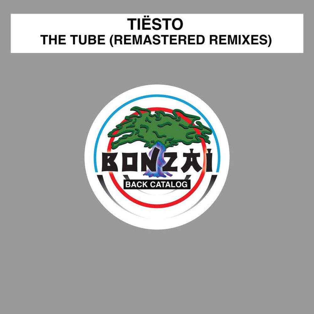 The Tube (Remastered Domenico Cascarino & Luca Lombardi Elektro Acoustic Mix) - Tiësto