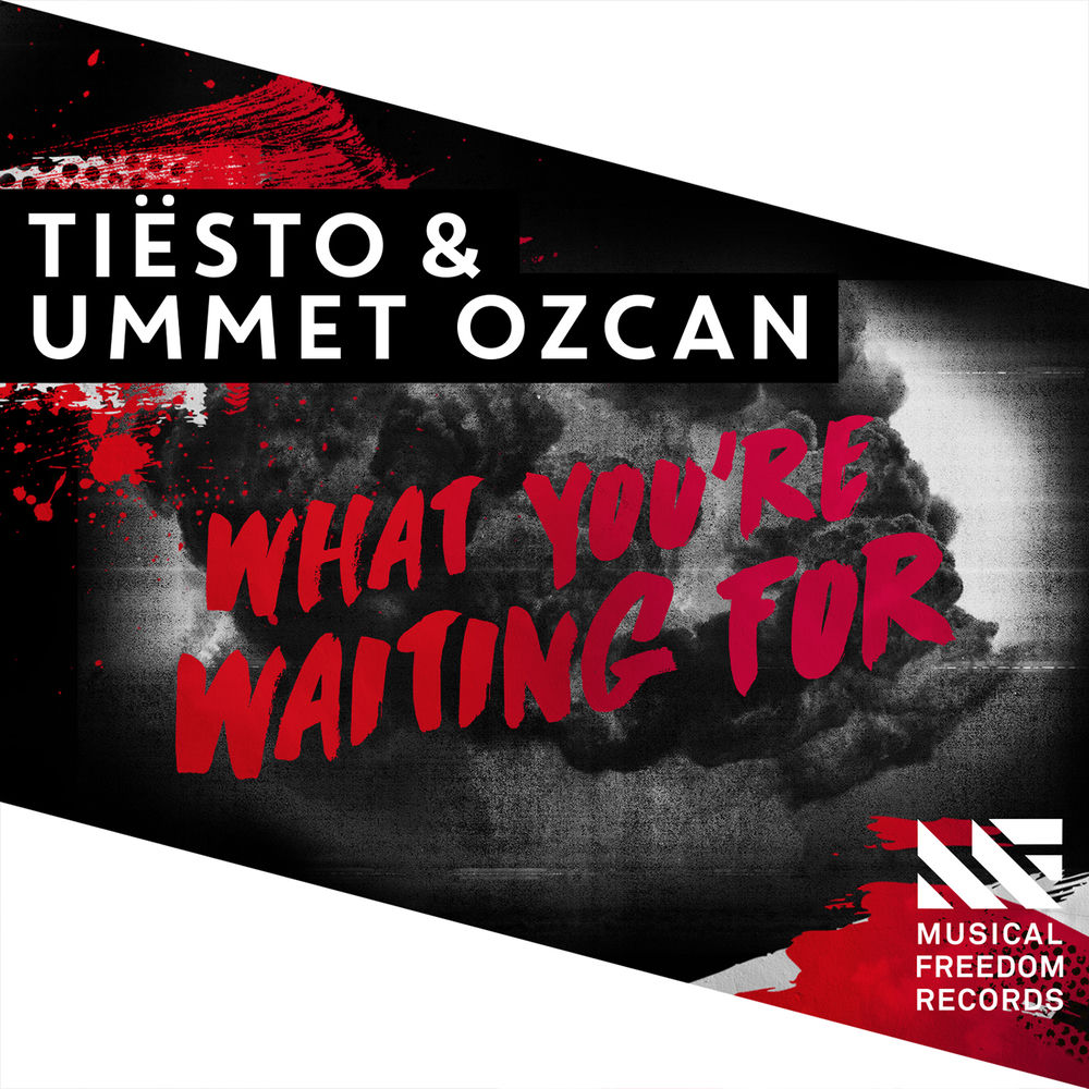What You're Waiting For - Tiësto & Ummet Ozcan