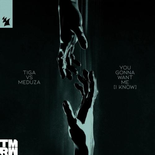 Tiga & MEDUZA - You Gonna Want Me (I Know)