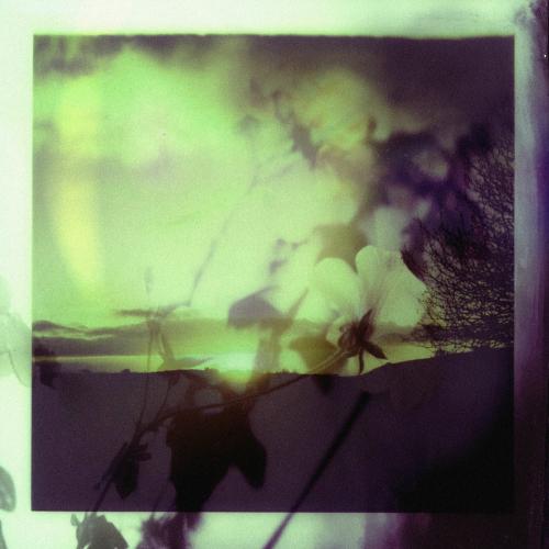 Tim Reaper, Mantra & Decibella - Charades