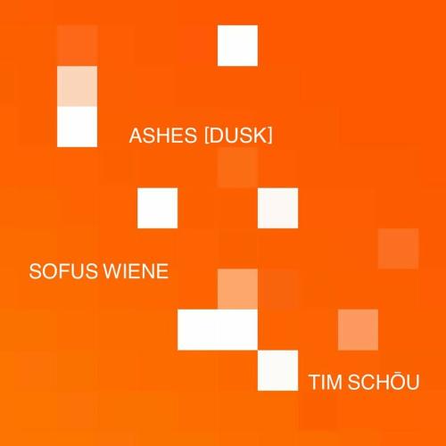 Tim Schou feat. Sofus Wiene - Ashes (Dusk)