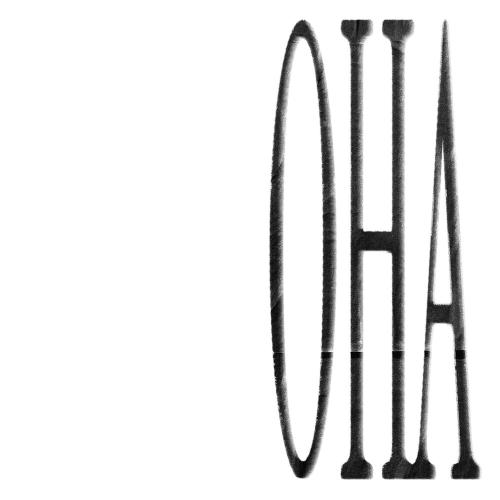 она - тима ищет свет