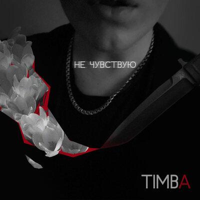 Не чувствую - Timba